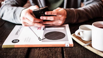 互聯(lián)網(wǎng)產(chǎn)品運(yùn)營體系構(gòu)建 從產(chǎn)品運(yùn)營到網(wǎng)絡(luò)開發(fā)的協(xié)同之路